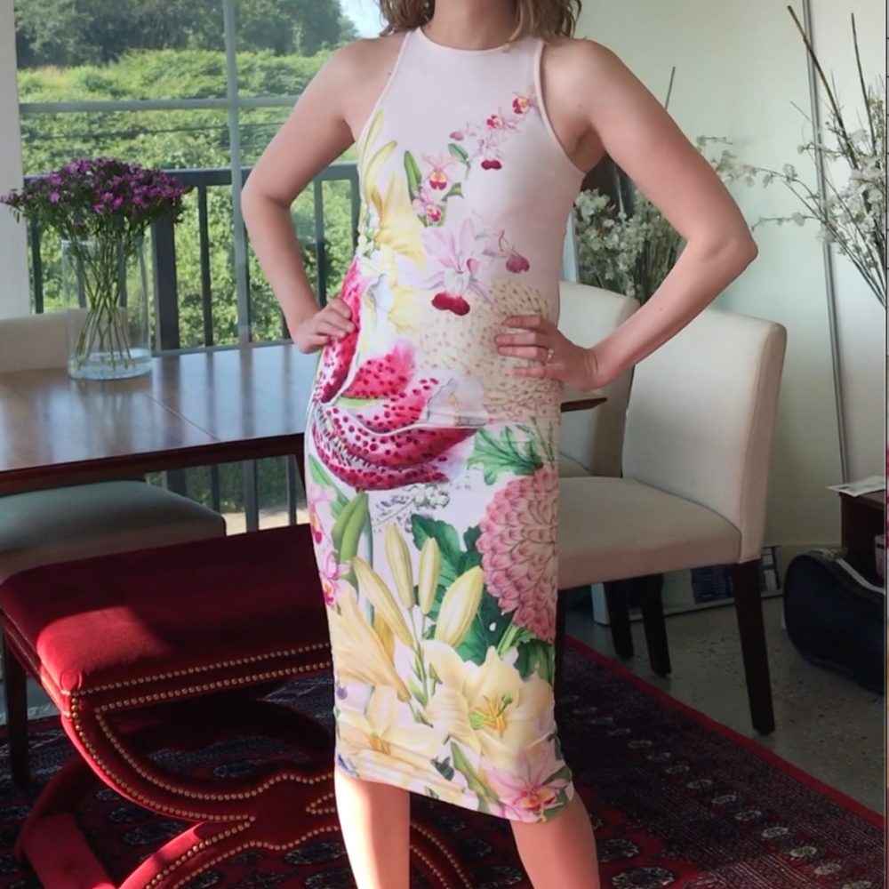 Ted Baker Floral Dress (Size 0)